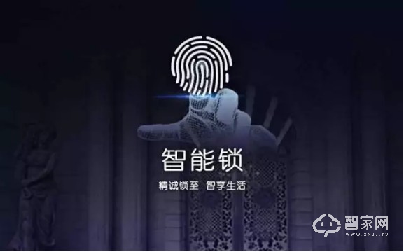 æŒ‡çº¹é”ä¸“ä¸šæœ¯è¯­ä½ äº†è§£å¤šå°‘ï¼Ÿ