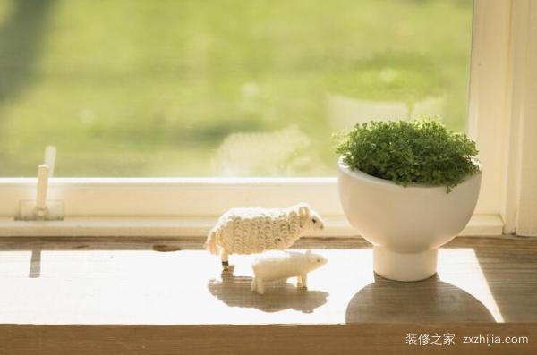 æ–°è£…ä¿®æˆ¿å­æ”¾ä»€ä¹ˆæ¤ç‰©