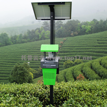 Tea plant insecticidal lamp