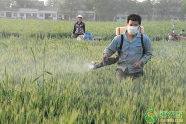 å¤å­£å–·æ–½å†œè¯è¦å°å¿ƒï¼Œéœ€è°¨è®°æ–½è‚¥å…­å¤§æ³¨æ„äº‹é¡¹ï¼