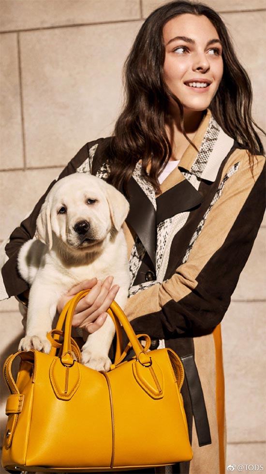 TOD'S 2019 spring and summer series new products show the casual and elegant under the Italian style