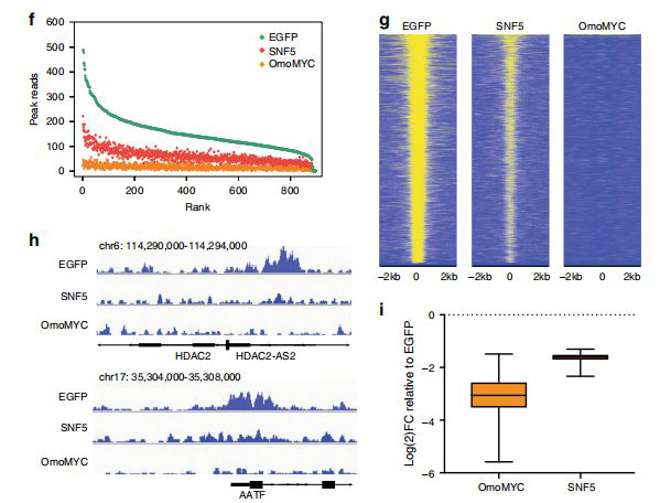 Nature's Supplement: How to more effectively curb deadly childhood cancer?