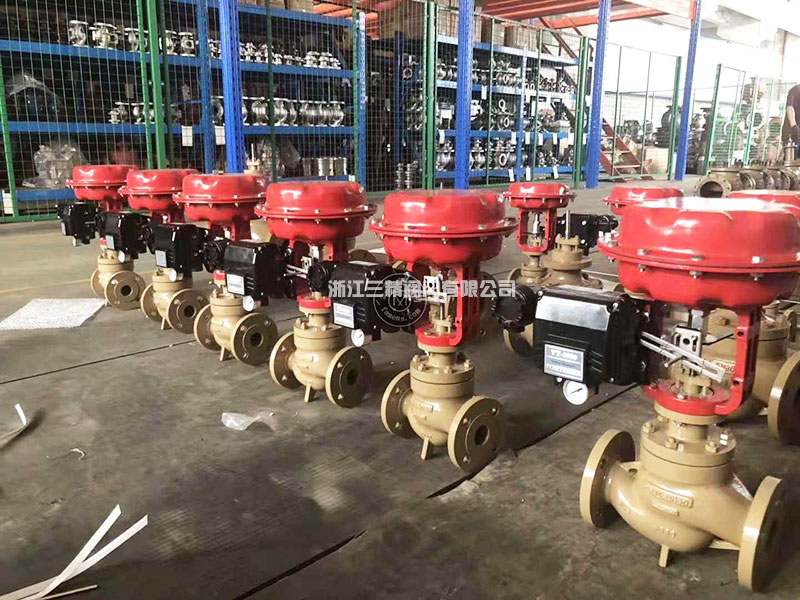 Pneumatic single seat control valve