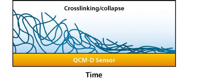 Q-Sense_Crosslinking_Collapse.png