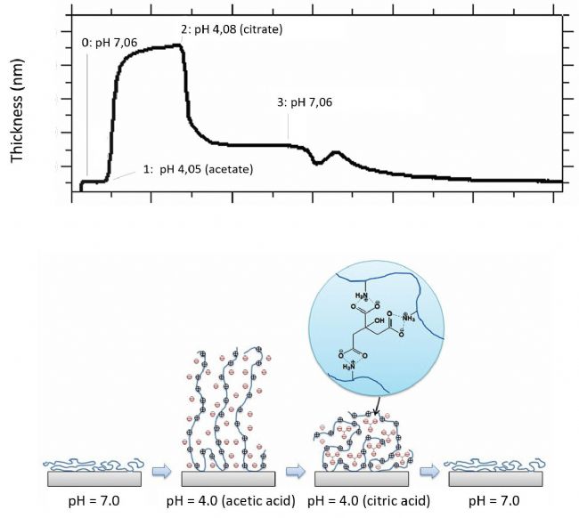 Thin film crosslinking.png