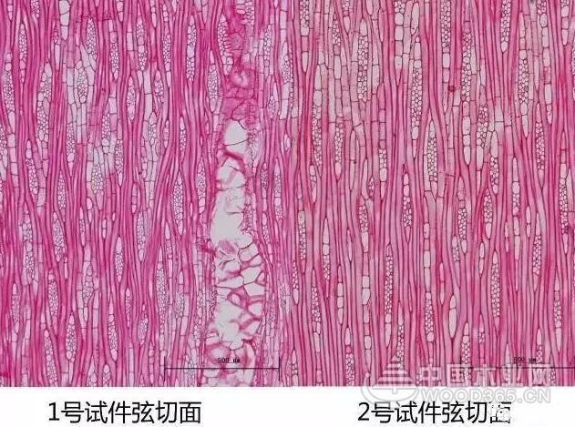 The difference between Thai rubber wood and Vietnamese rubber wood