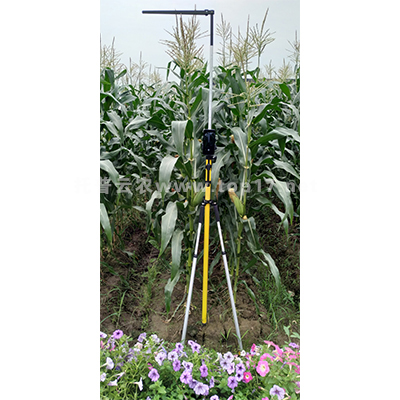 Corn plant height tester