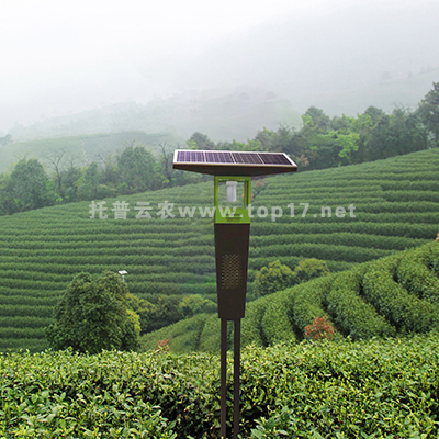 Tea garden insecticidal lamp