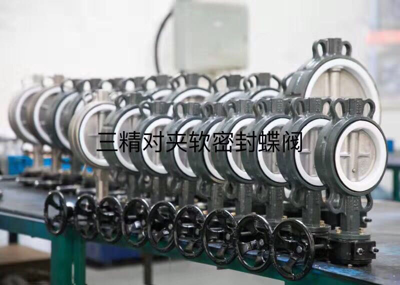 Wafer electric butterfly valve