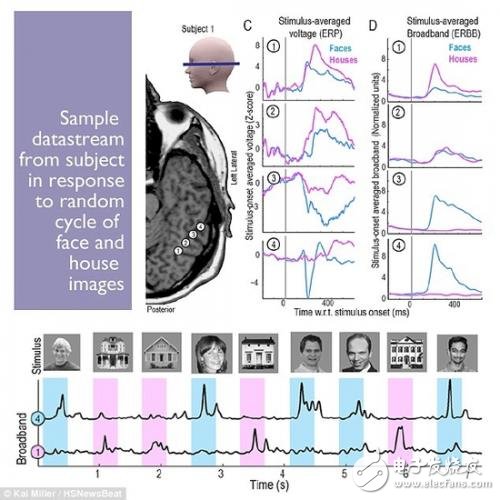 Brainwave technology goes up to the next level, reading accuracy is as high as 95%