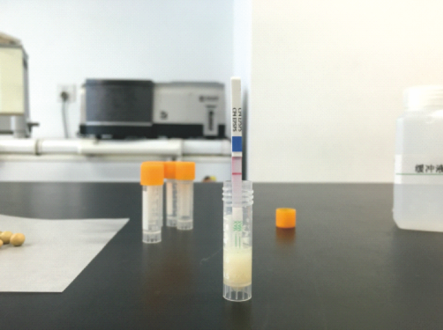 Genetically modified test paper