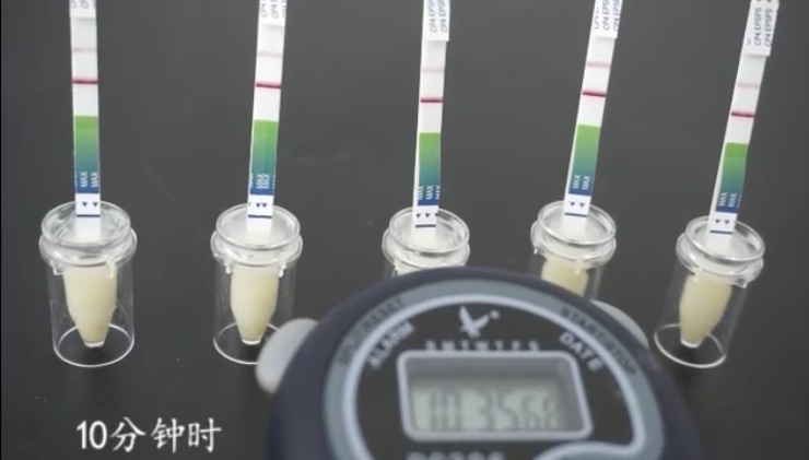 GMO test paper is fast