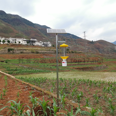 Solar insecticidal lamp