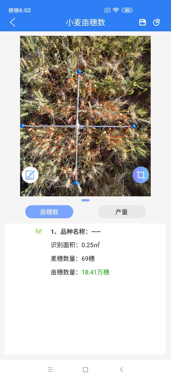 Wheat ear number measurement system per mu