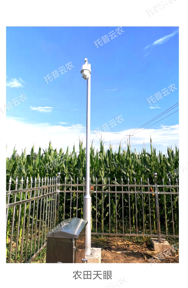 Farmland Sky Eye