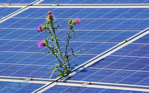 Photo by: Werner Slocum, NREL