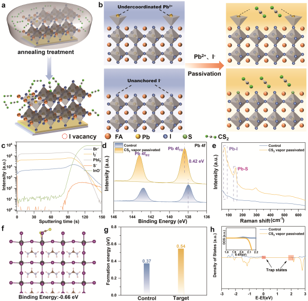Large-area perovskite module device based on gas phase passivation