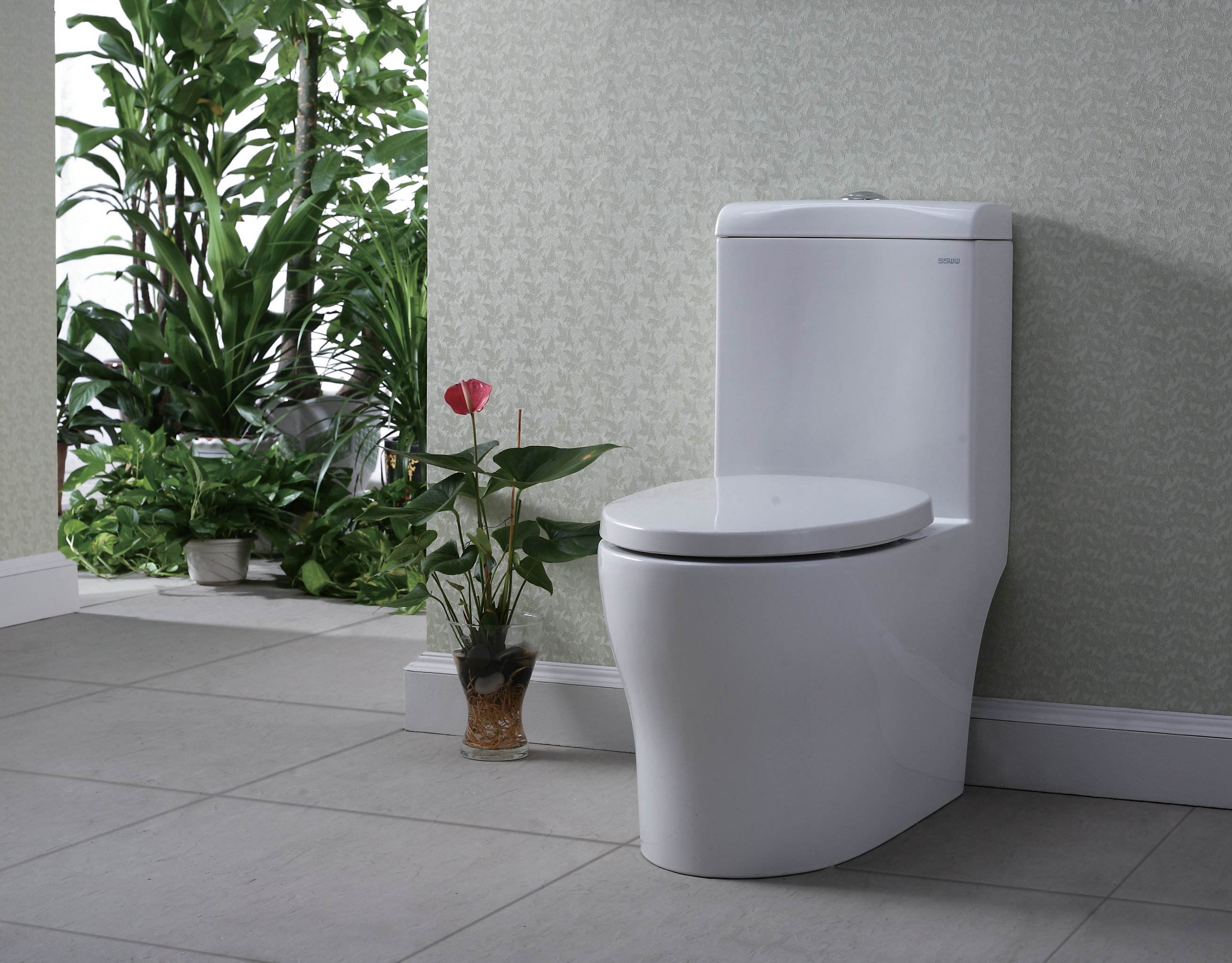 Toilet Image
