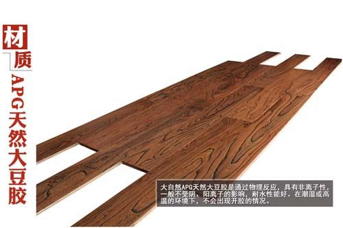 APG Floor Image