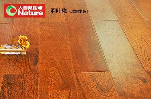 Solid Wood Floor Image