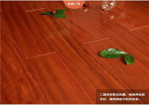 Wild Winged Floor Image