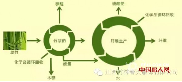 ã€ç«¹æž—æ˜¥å¤©ã€‘ç”¨ç«¹çº¤ç»´äº§å“ ä¸ºçŽ¯ä¿å¢žæ·»ä¸€ä»½åŠ›