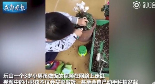 ç½‘ç»œåšé¥­èµ°çº¢çš„ä¸‰å²å°ç”·å­©æ˜¯å“ªçš„ï¼ŸåŸ¹å…»å­©å­åŠ¨æ‰‹èƒ½åŠ›ç©¿è¡£å¾ˆé‡è¦