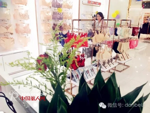 é‡‘ç§‹åæœˆ ä¸¹è““å§¿å†…è¡£ä¸‰åº—é½å¼€å–œè¿Žä¸°æ”¶å­£