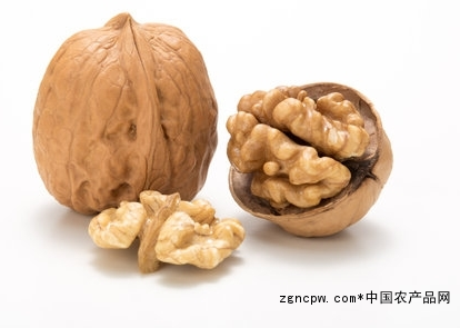 walnut