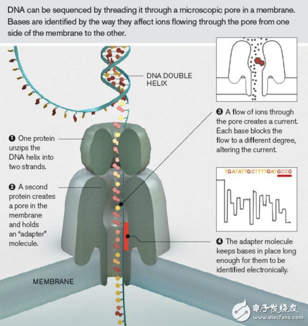 Nanopore sequencing