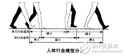 Human walking model analysis