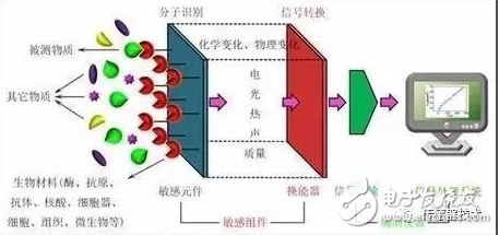 Biosensor schematic