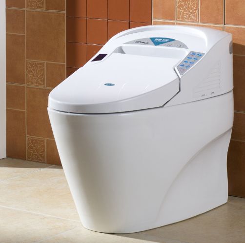 Electric Toilet Components