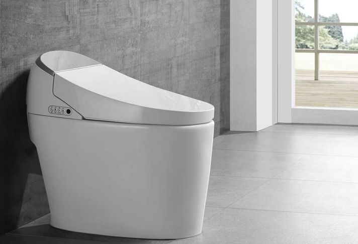 Electric Toilet