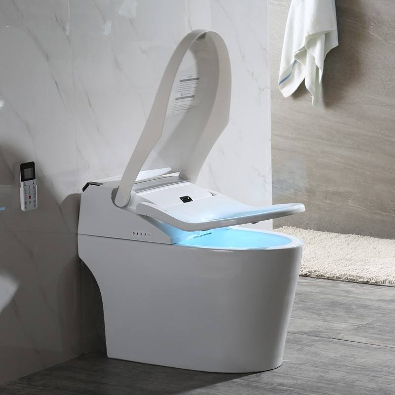 Electric Toilet Installation