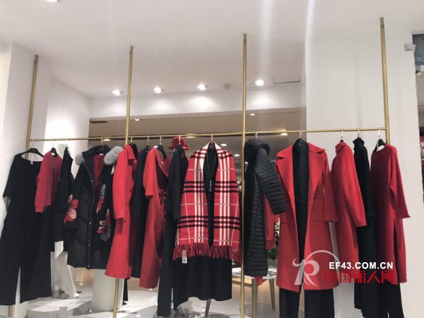 çƒ­çƒˆæ¬¢è¿Žå•†ä¼šå¥³ä¼å§”å‘˜ä¼šèŽ…ä¸´å‚è§‚æŒ‡å¯¼æ˜ŸåŸŽå›½é™…