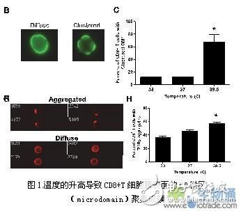 Immunology research based on high content microscopic imaging flow cytometry