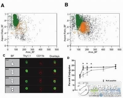 Immunology research based on high content microscopic imaging flow cytometry