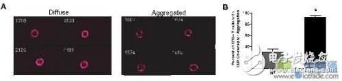 Immunology research based on high content microscopic imaging flow cytometry