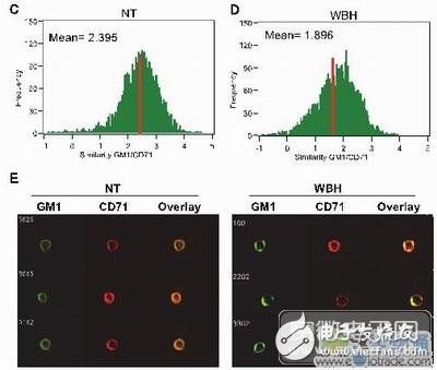 Immunology research based on high content microscopic imaging flow cytometry