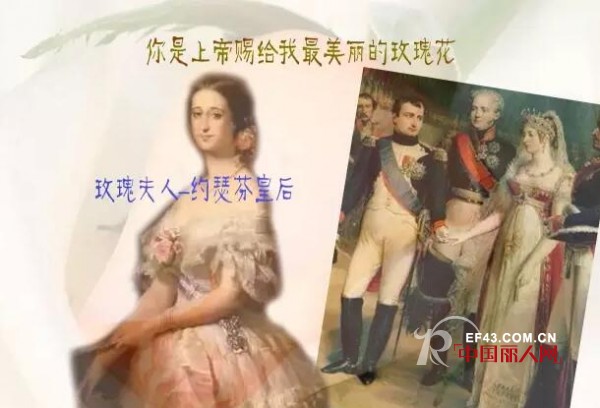 ä»¥èŽŽ