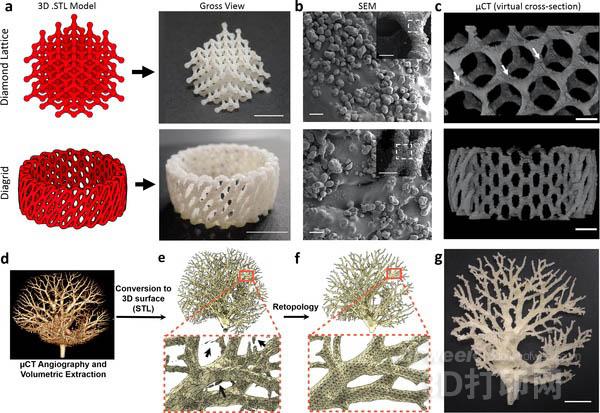 Biologists convert laser cutting machines into low-cost SLS 3D printers