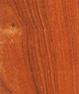 Red sandalwood mainly refers to red iron pigeon beans.jpg