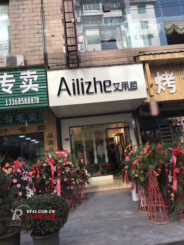 è‰¾ä¸½å“²-Ailizhe