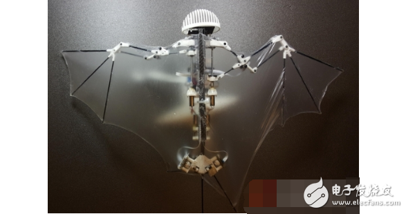 The United States has developed a bat robot: better than a drone