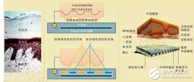 What kinds of fingerprint recognition technology?