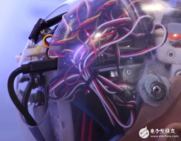 The worldâ€™s first citizen robot, who vowed to destroy humanity