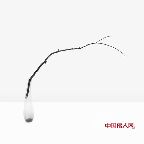 å› ä¸º - ZOLLE