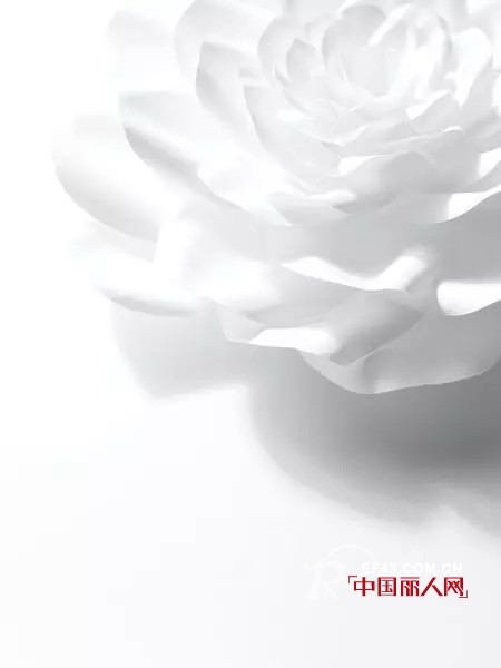ZOLLEæŽ¨è | äººç”Ÿè‹¥æ·¡ å¹´åŽè‡ªæ¸…æ¬¢
