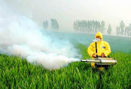 September prices of raw materials for pesticide production rebounded